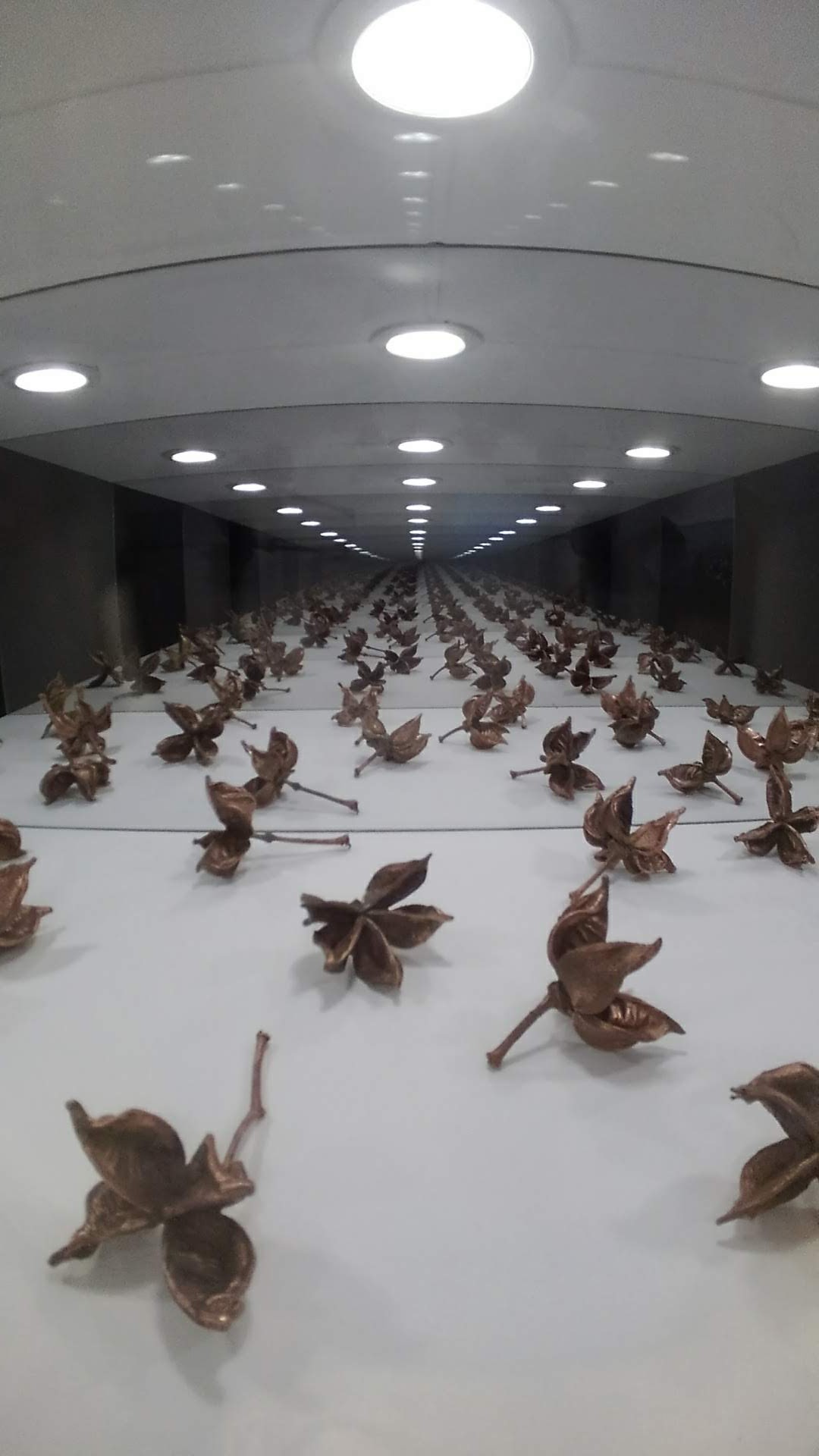 MASS Gallery, foto 4