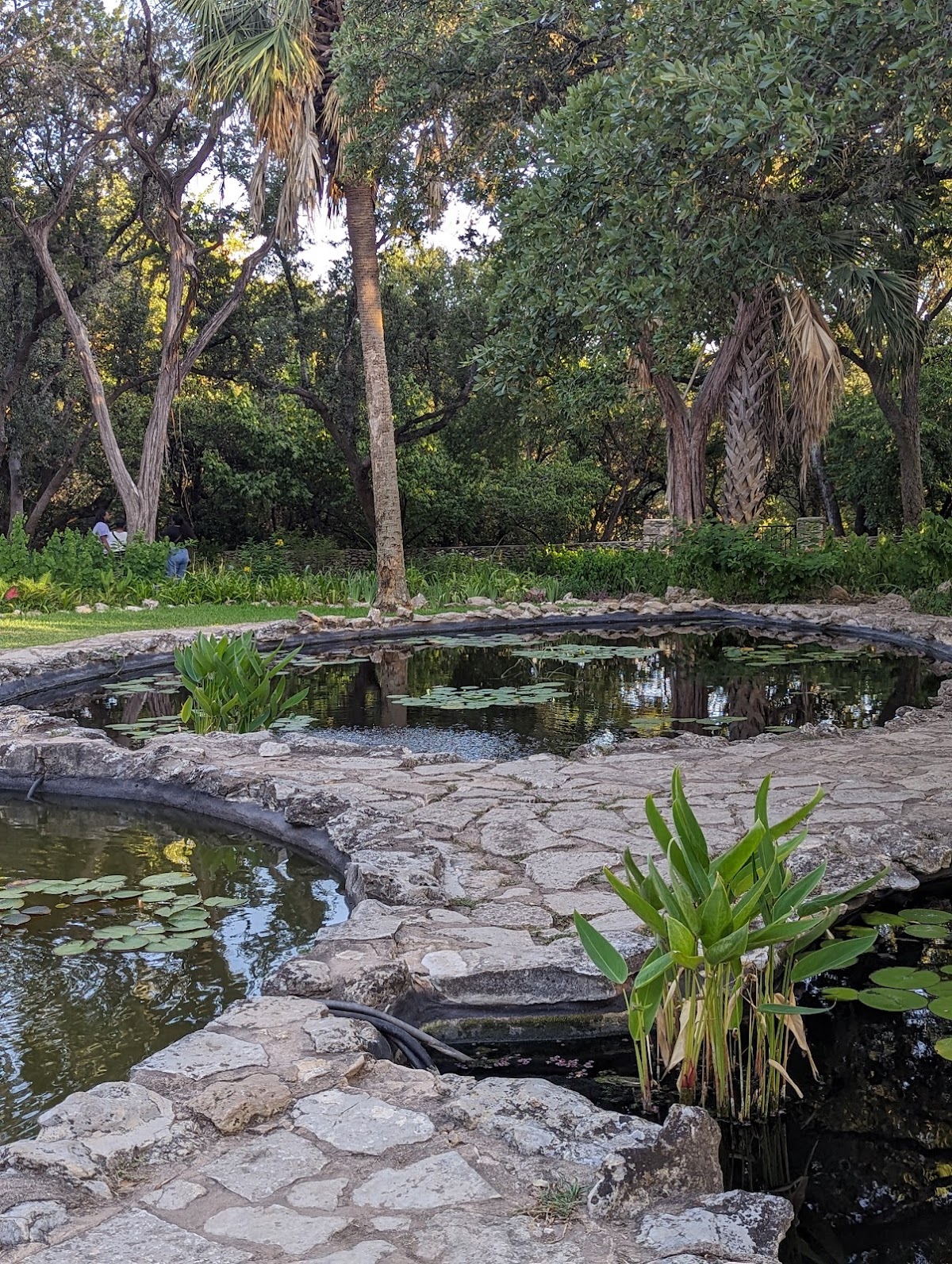 Mayfield Park and Nature Preserve 2