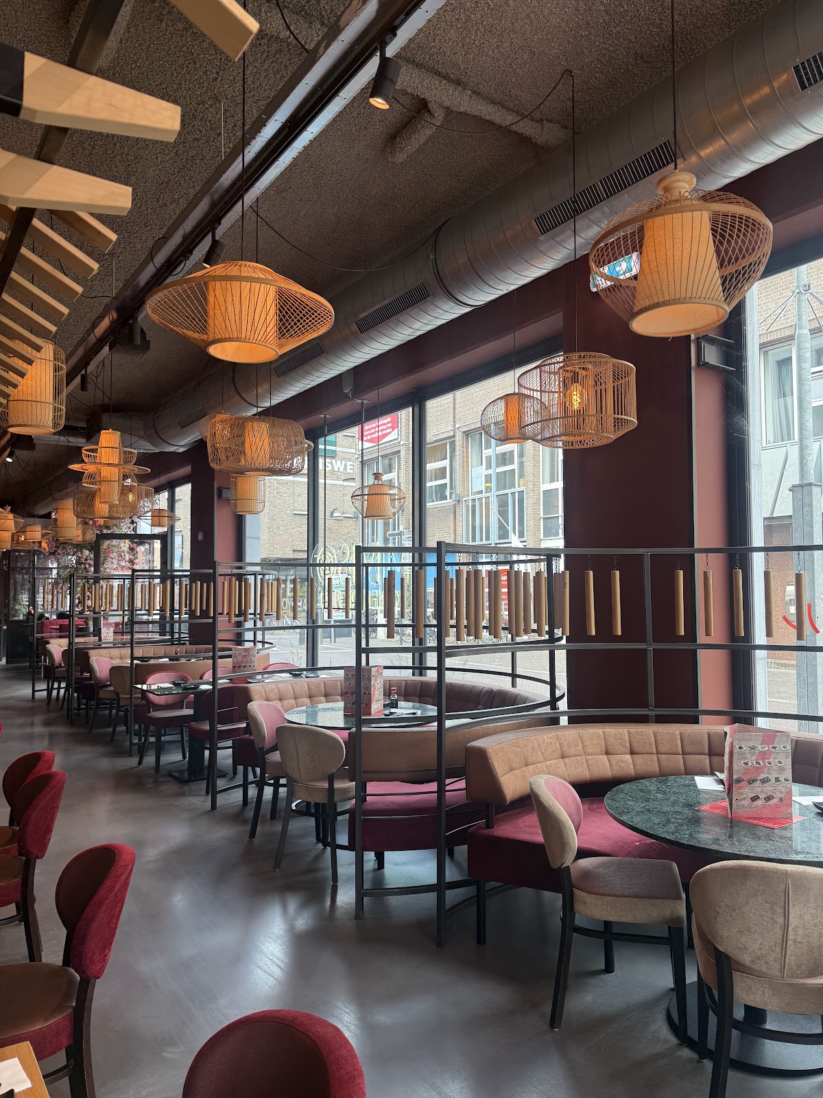 Miso Oriental, foto 3