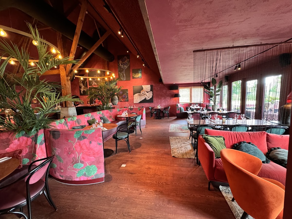Molino Asian Bistro, foto 4