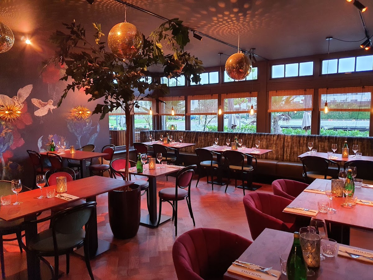 Molino Asian Bistro, foto 1