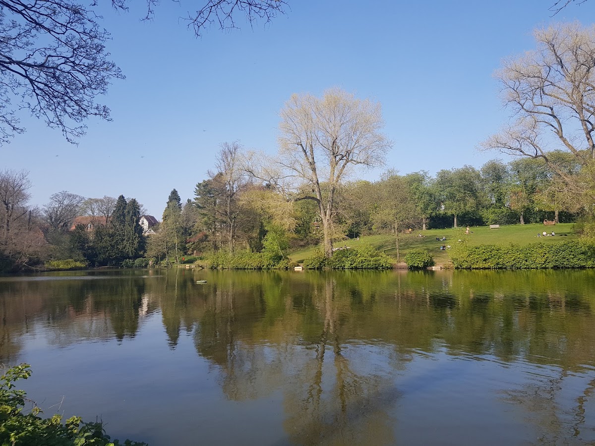 Moseley Park and Pool, photo 1