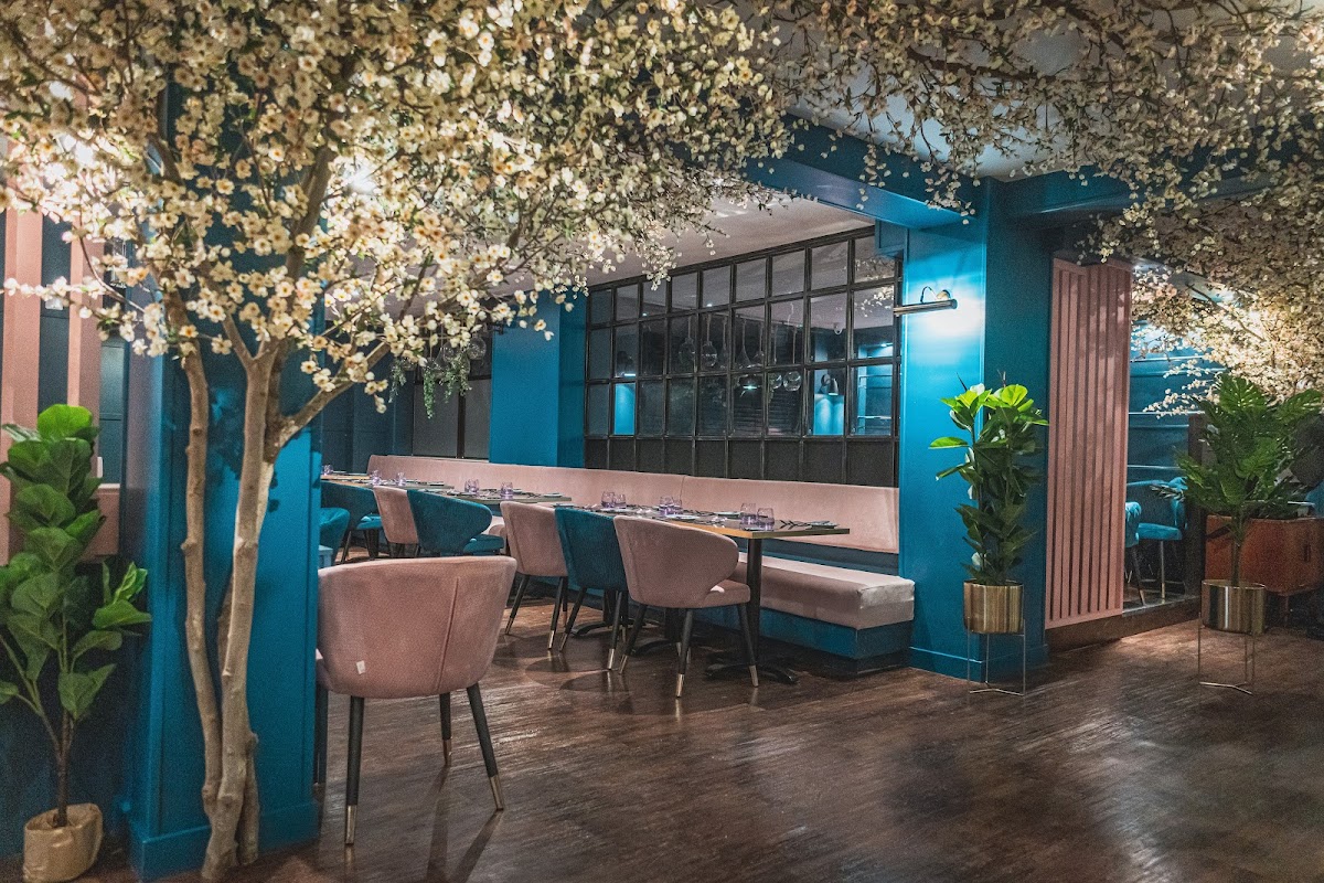 MUSE Brasserie - Bristol, foto 1