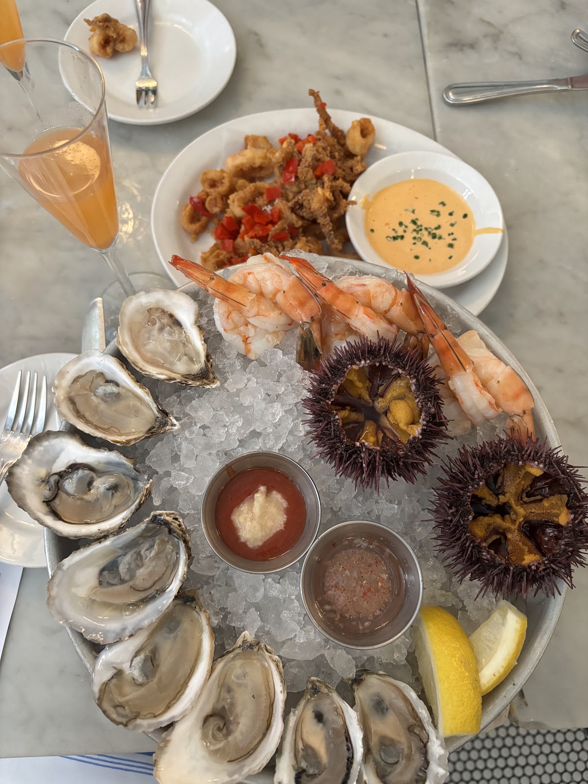 Neptune Oyster 4
