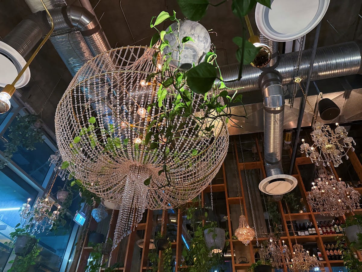 Orchard Restaurant, Foto 2
