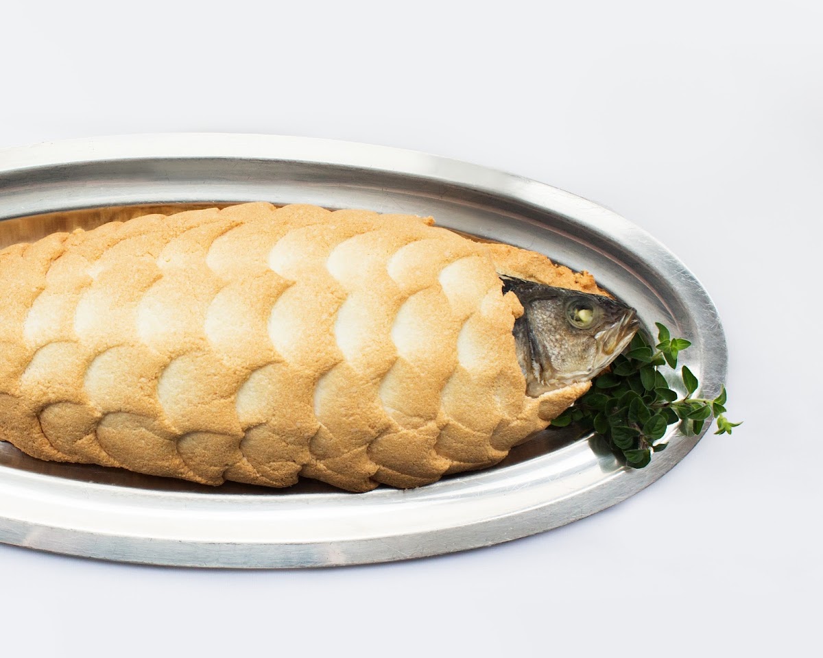 Ostra, foto 2