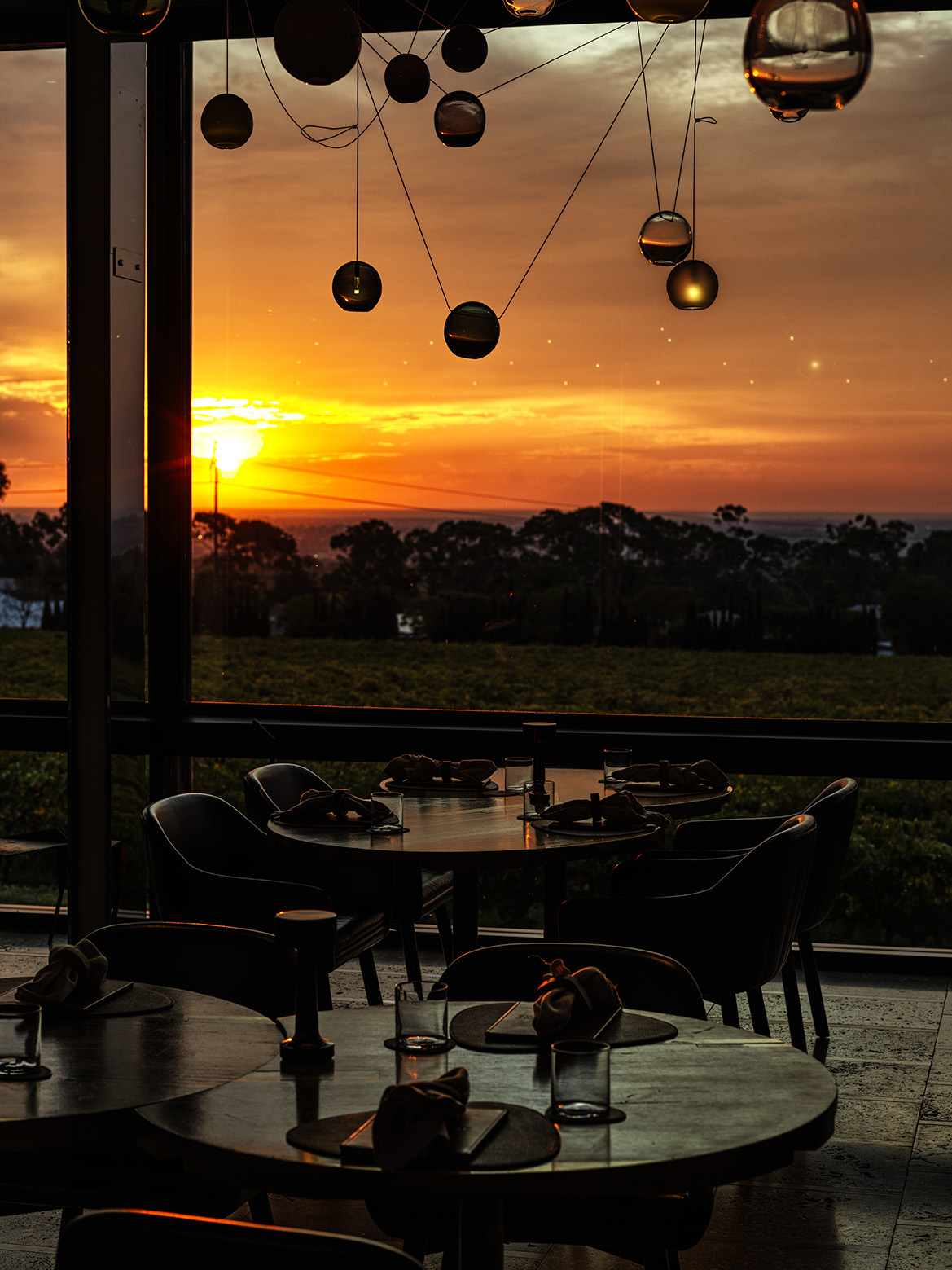 Penfolds Magill Estate Restaurant, foto 3