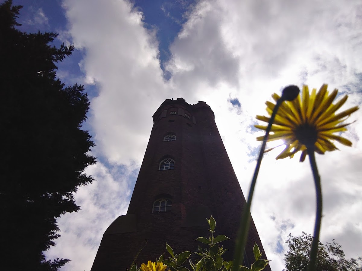 Perrott's Folly, Foto 3