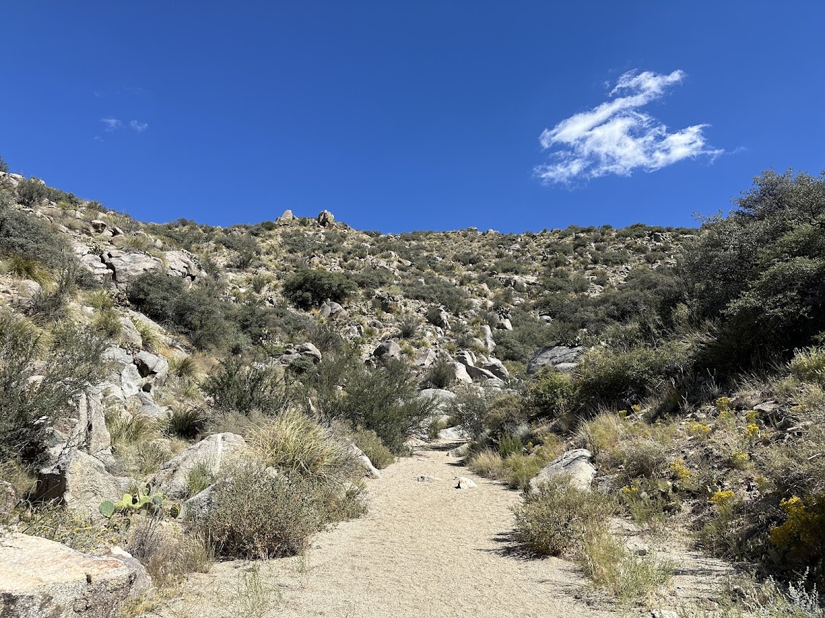 Piedra Lisa Canyon Loop Trail, foto 1