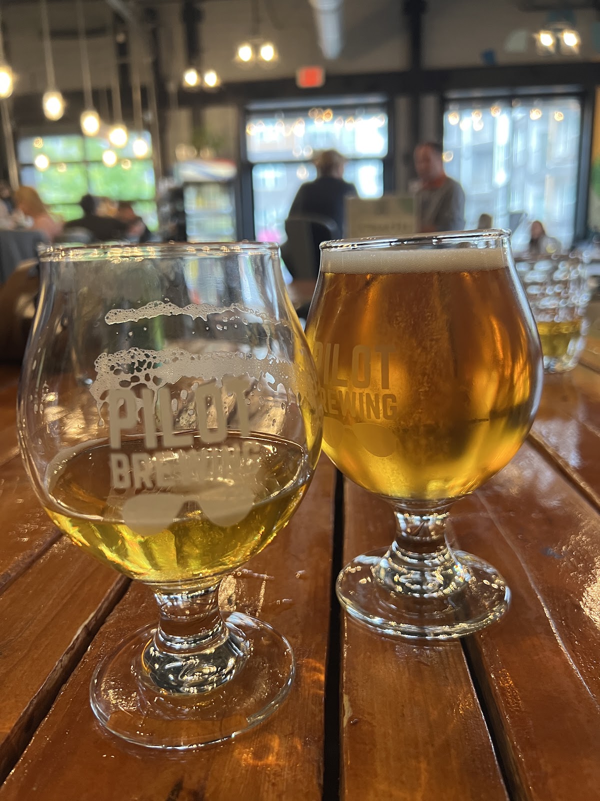Pilot Brewing 3