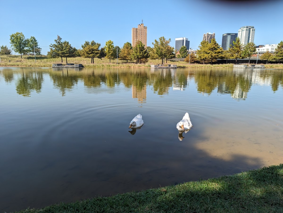 Railroad Park Foundation 4
