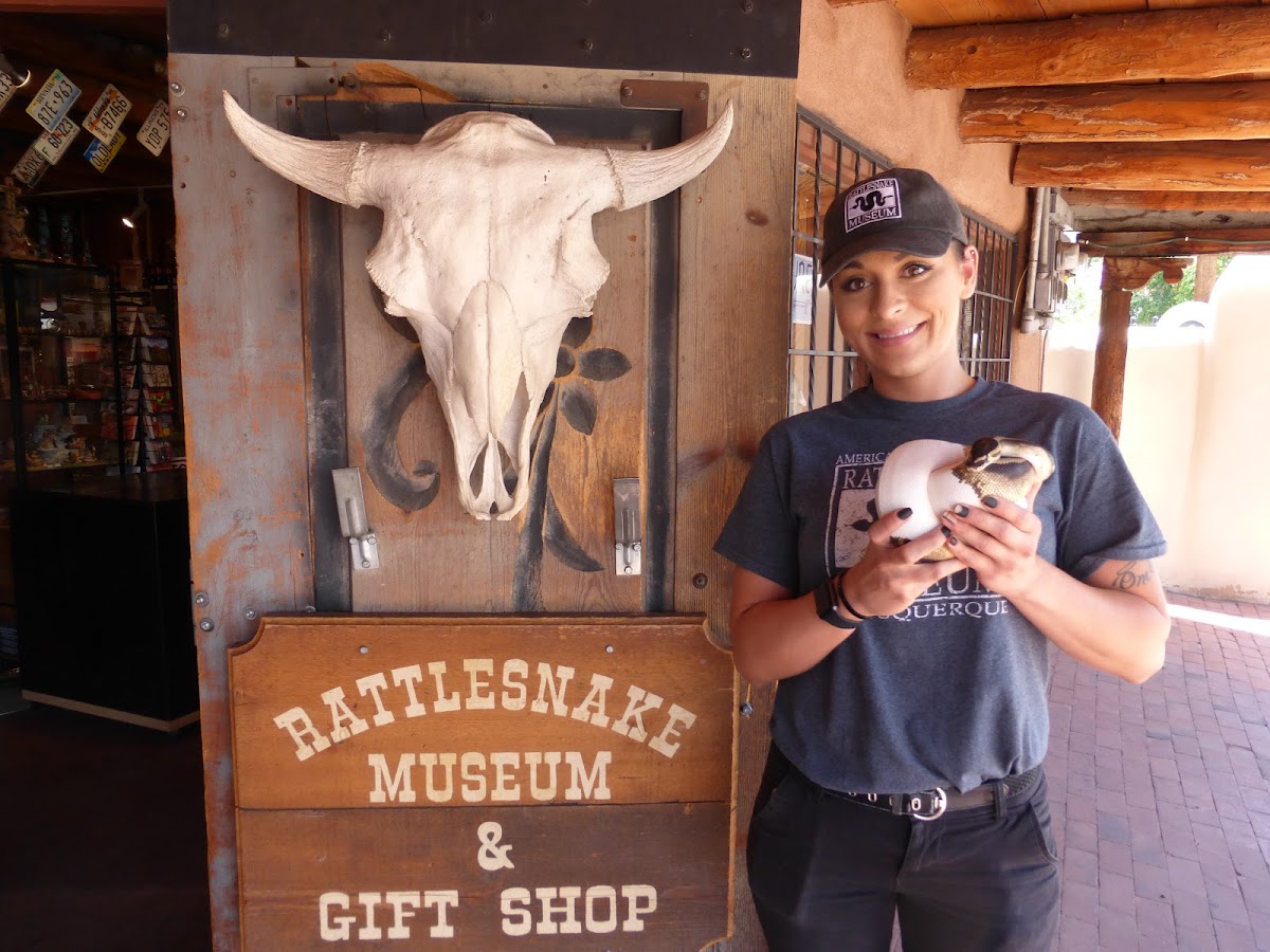 Rattlesnake Museum & Gift Shop, photo 4