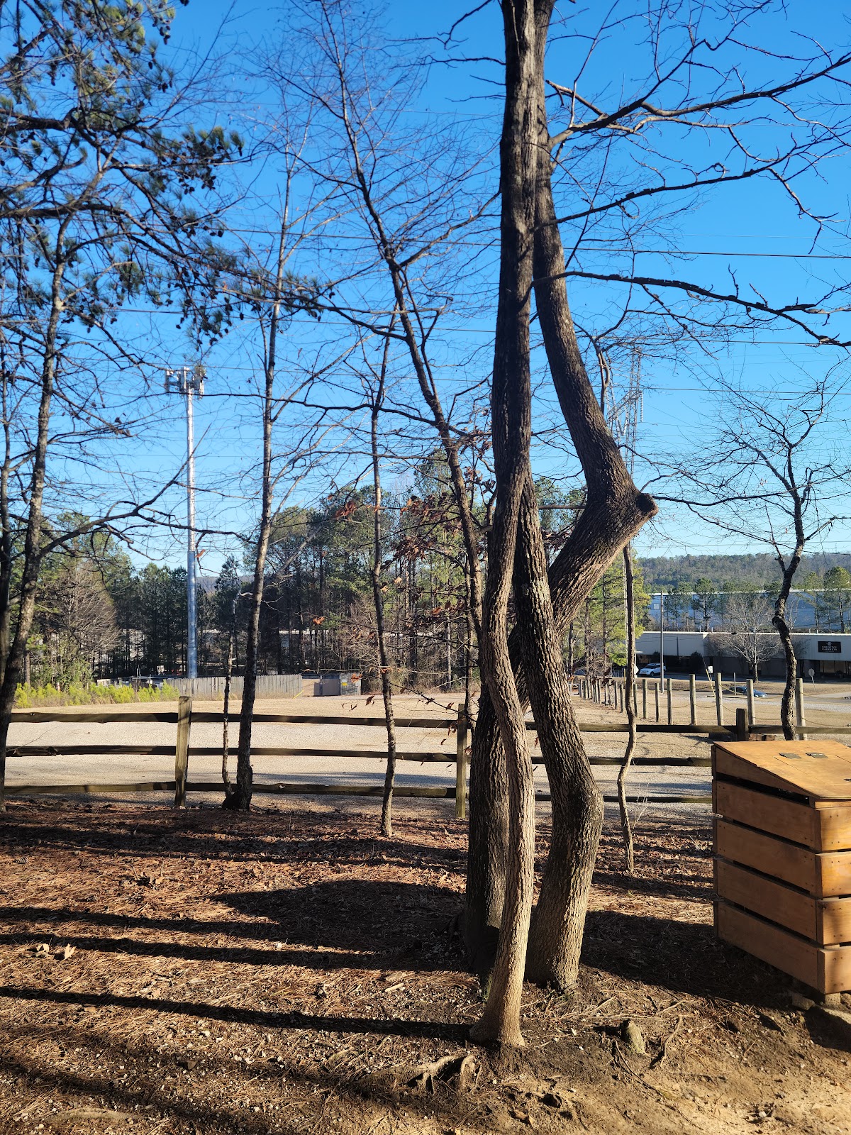 Red Mountain Park 3