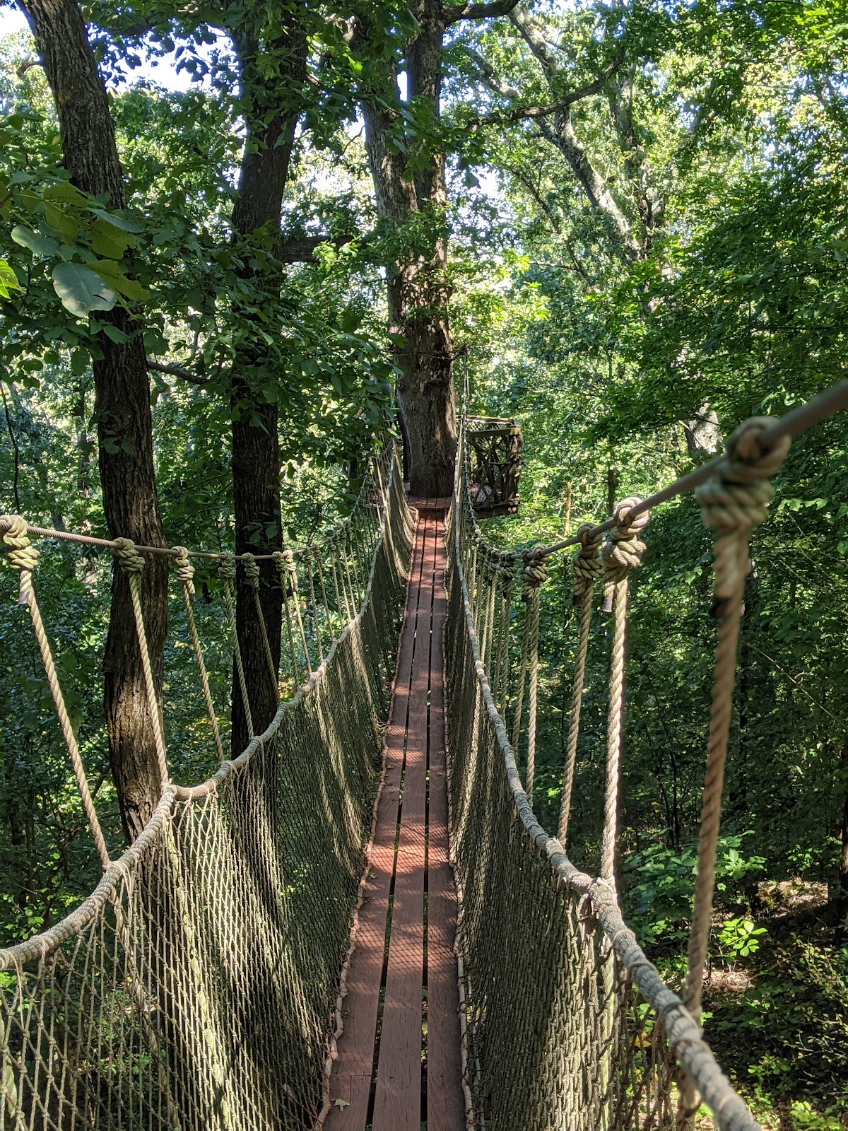 Red Mountain Park - Romantic date spot in Birmingham