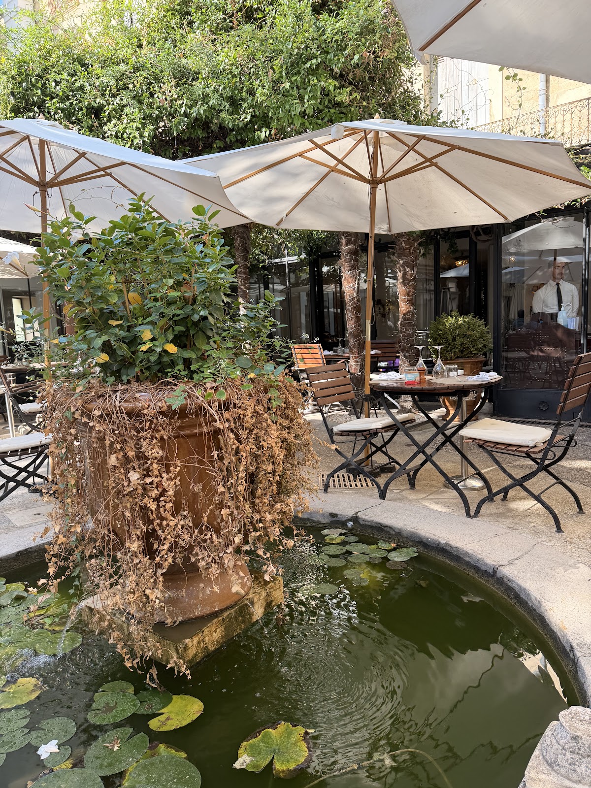 Restaurant aux bains de Montpellier, foto 2