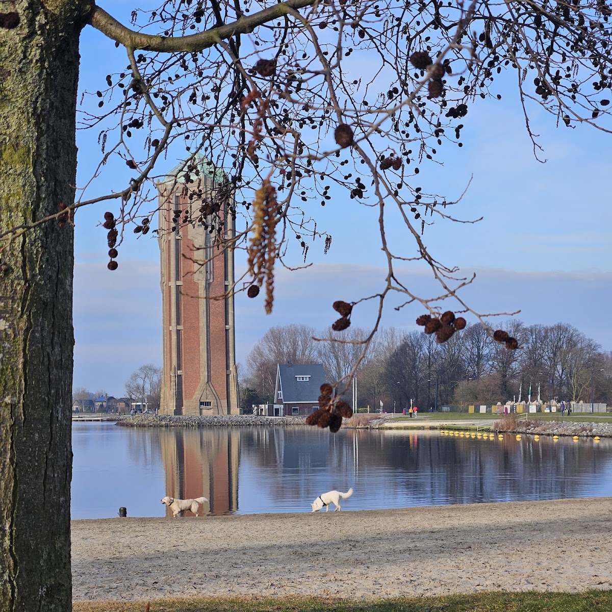 Restaurant On The Rock Aalsmeer, photo 4