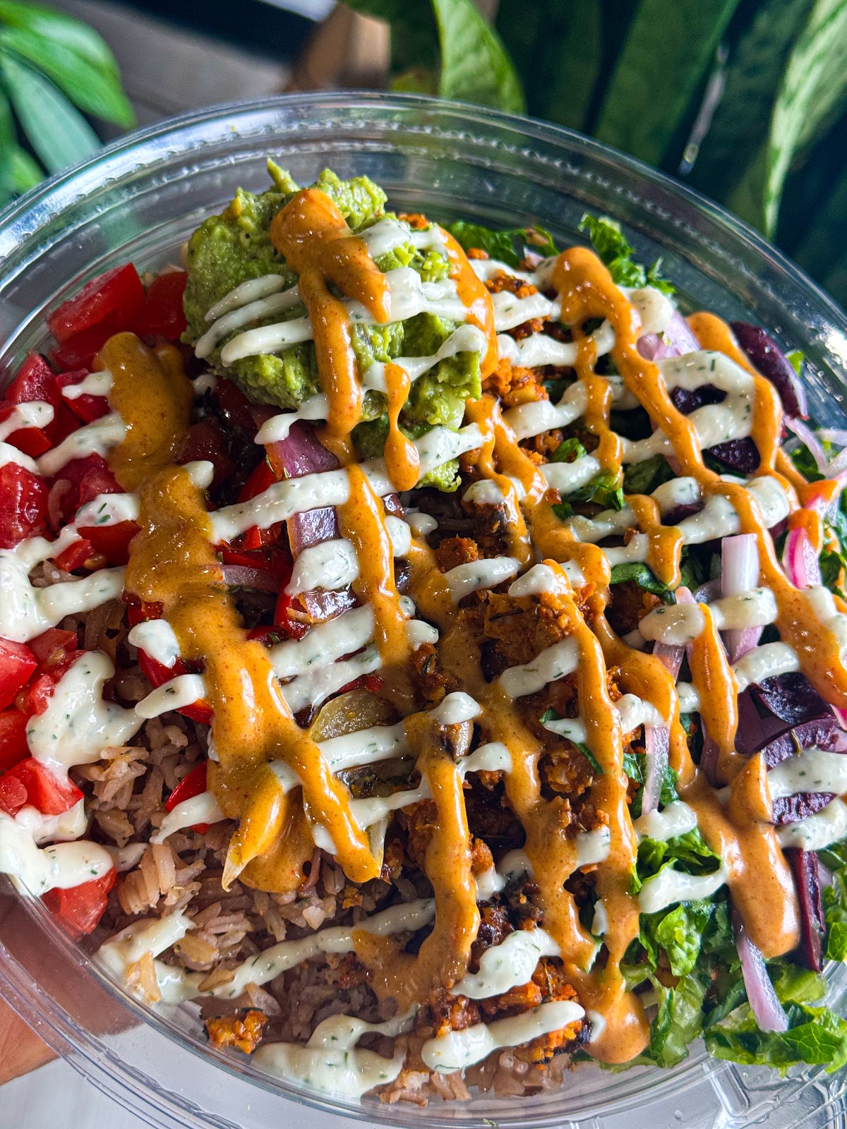 RHW Retail & Vegan Cafe 2
