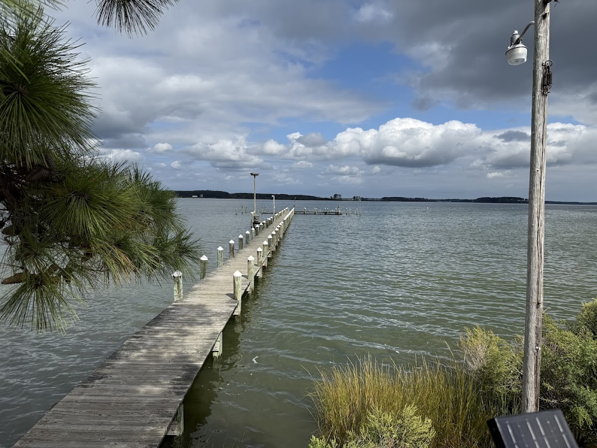 Ruddy Duck Seafood & Alehouse, foto 4