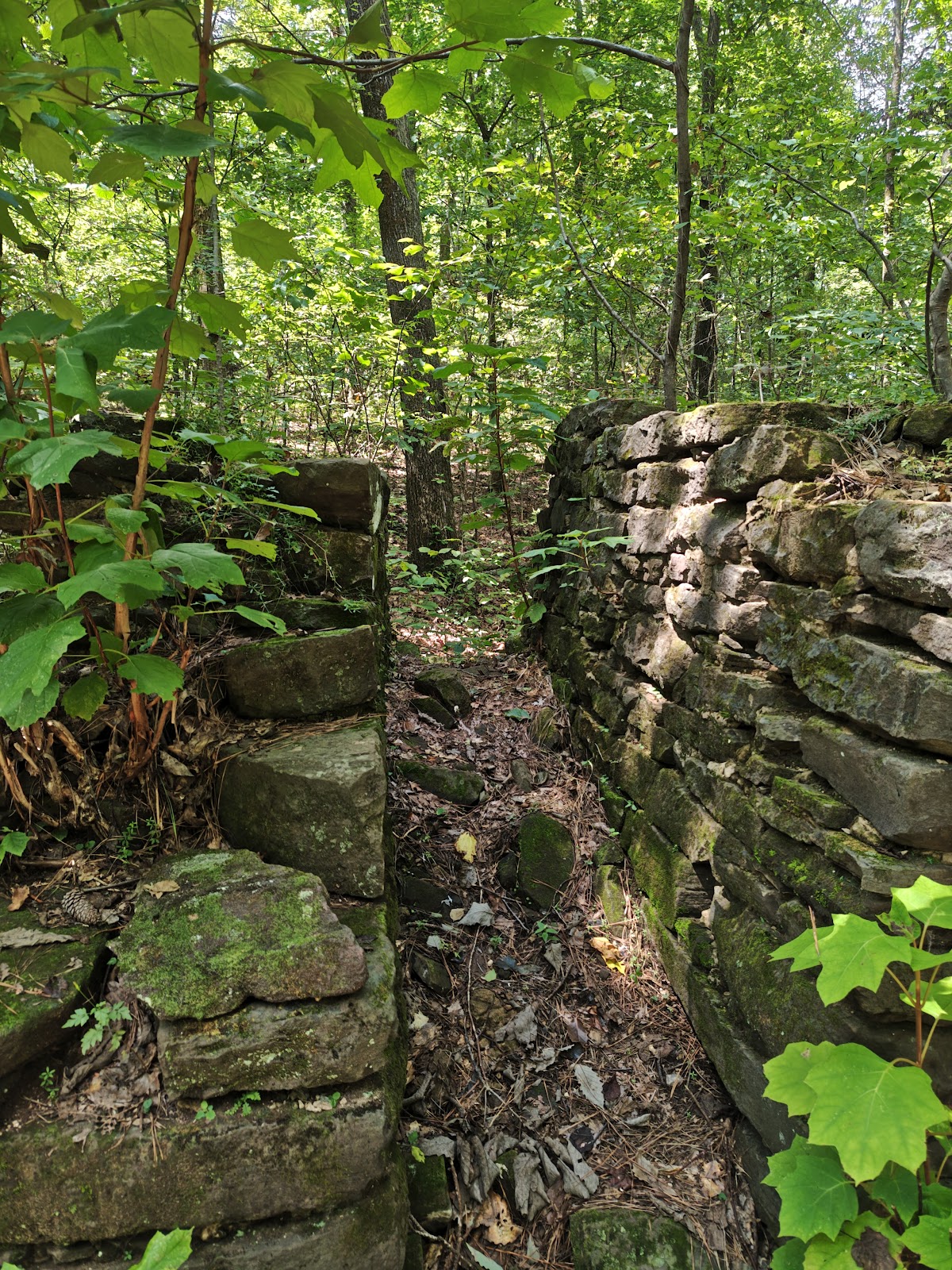 Ruffner Mountain 4