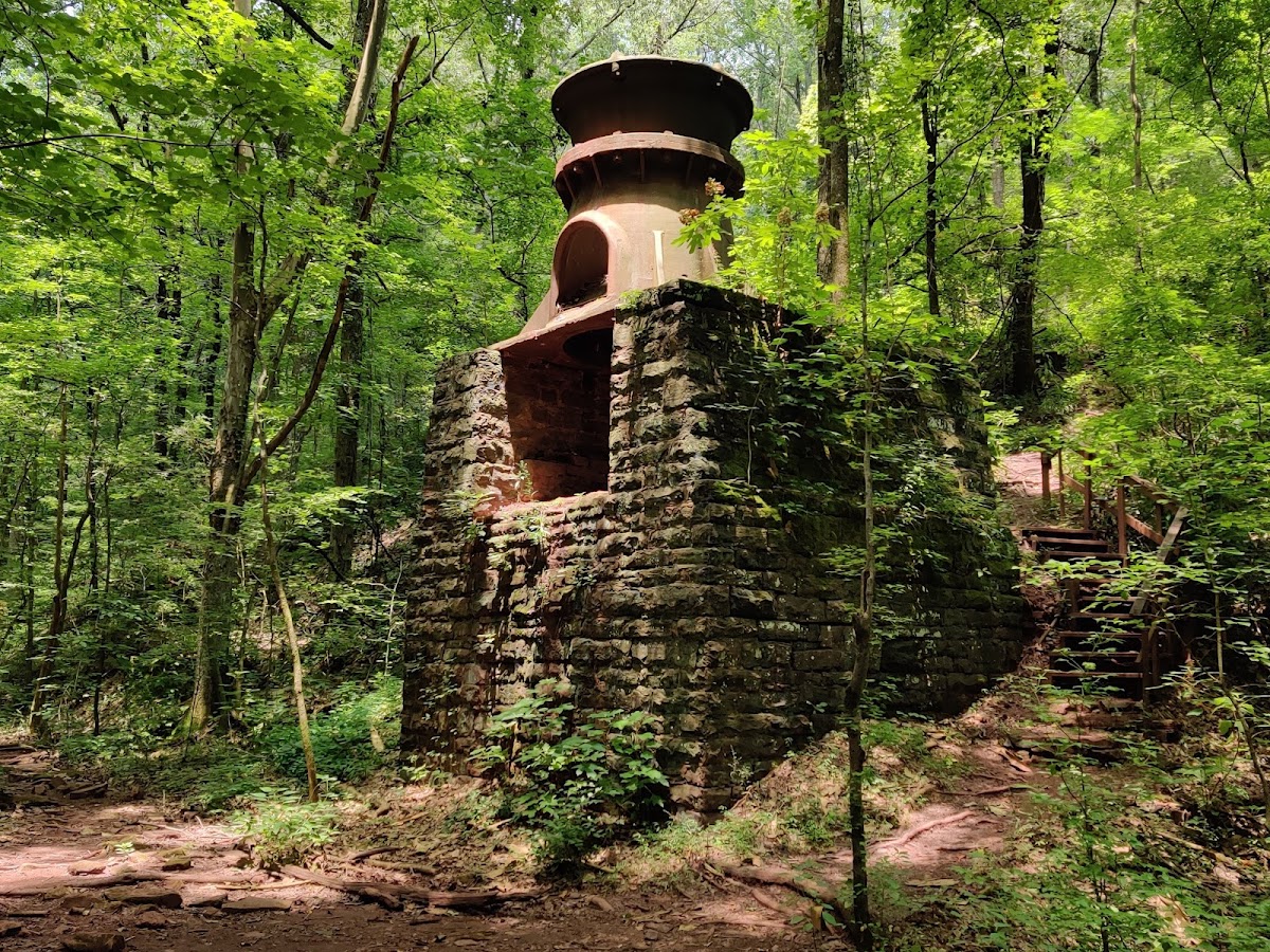 Ruffner Mountain 3