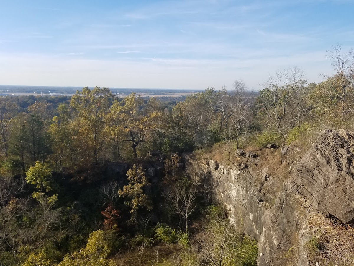 Ruffner Mountain 2