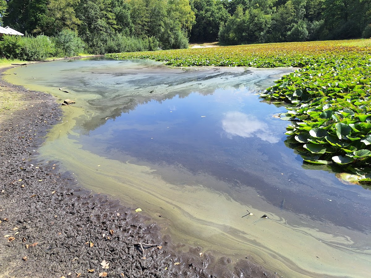 Rust Wat by Sidney Schutte, foto 4