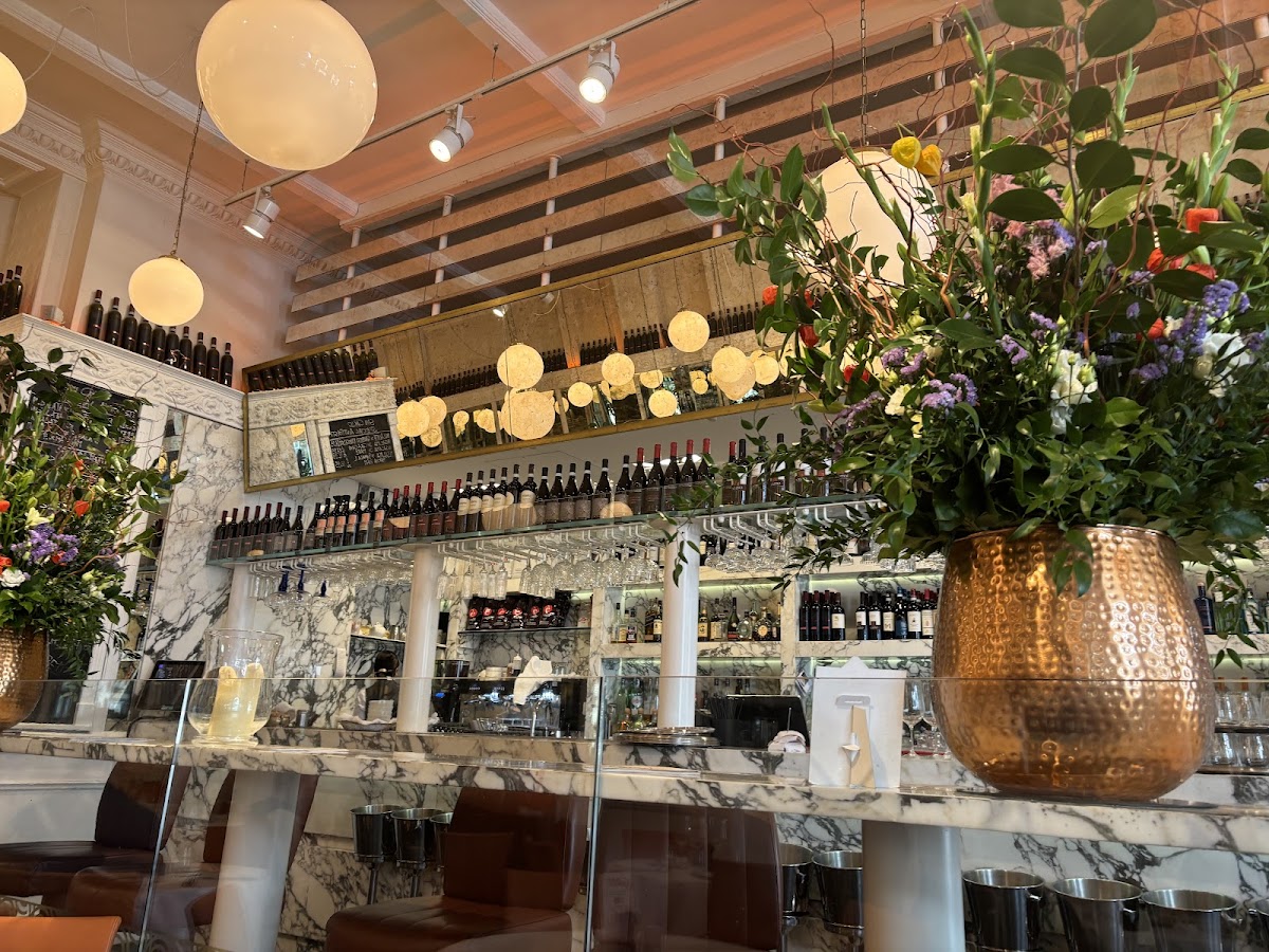 San Carlo - Bristol, foto 2