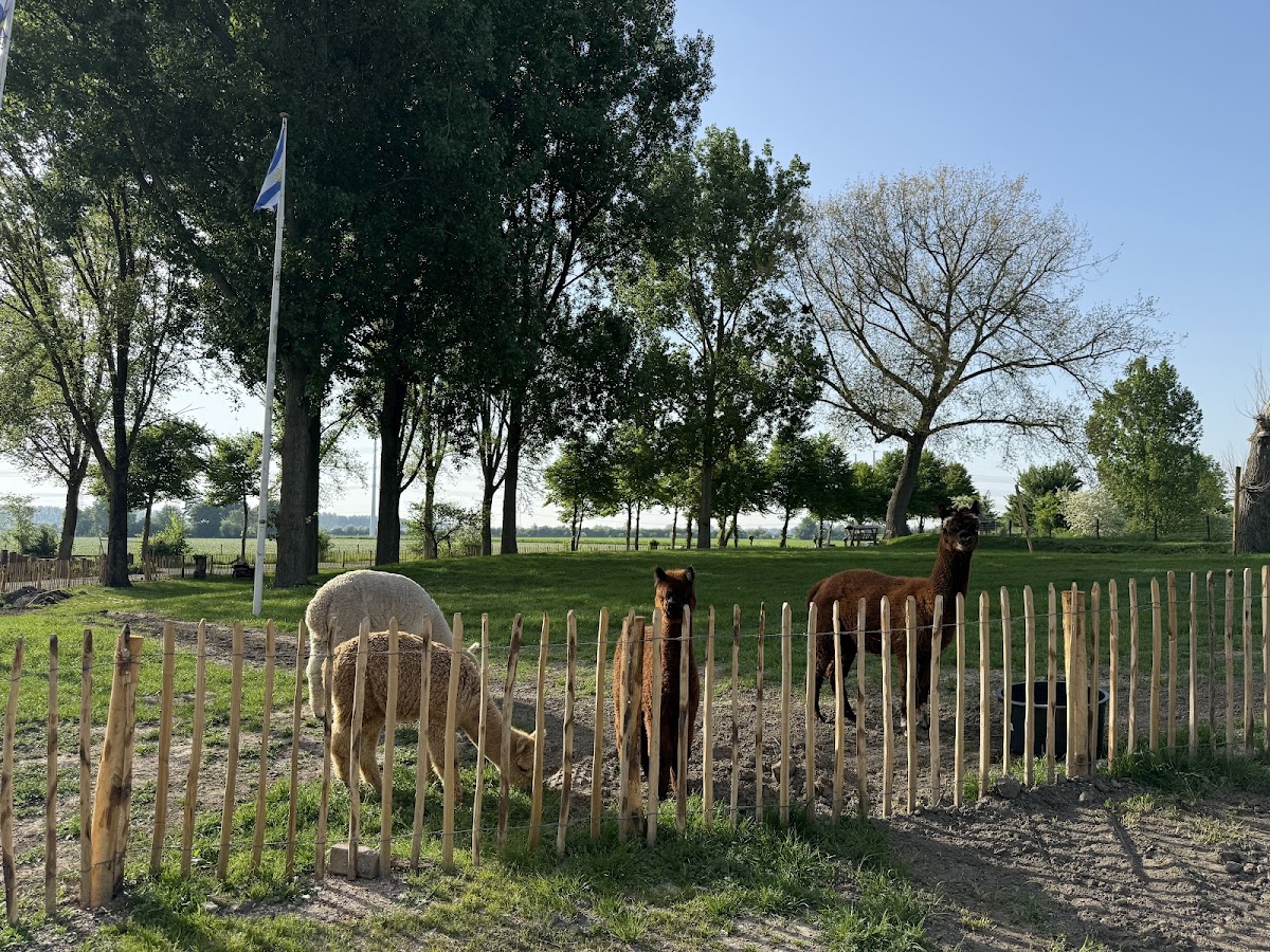 Schaapskooi Zeeland, foto 4