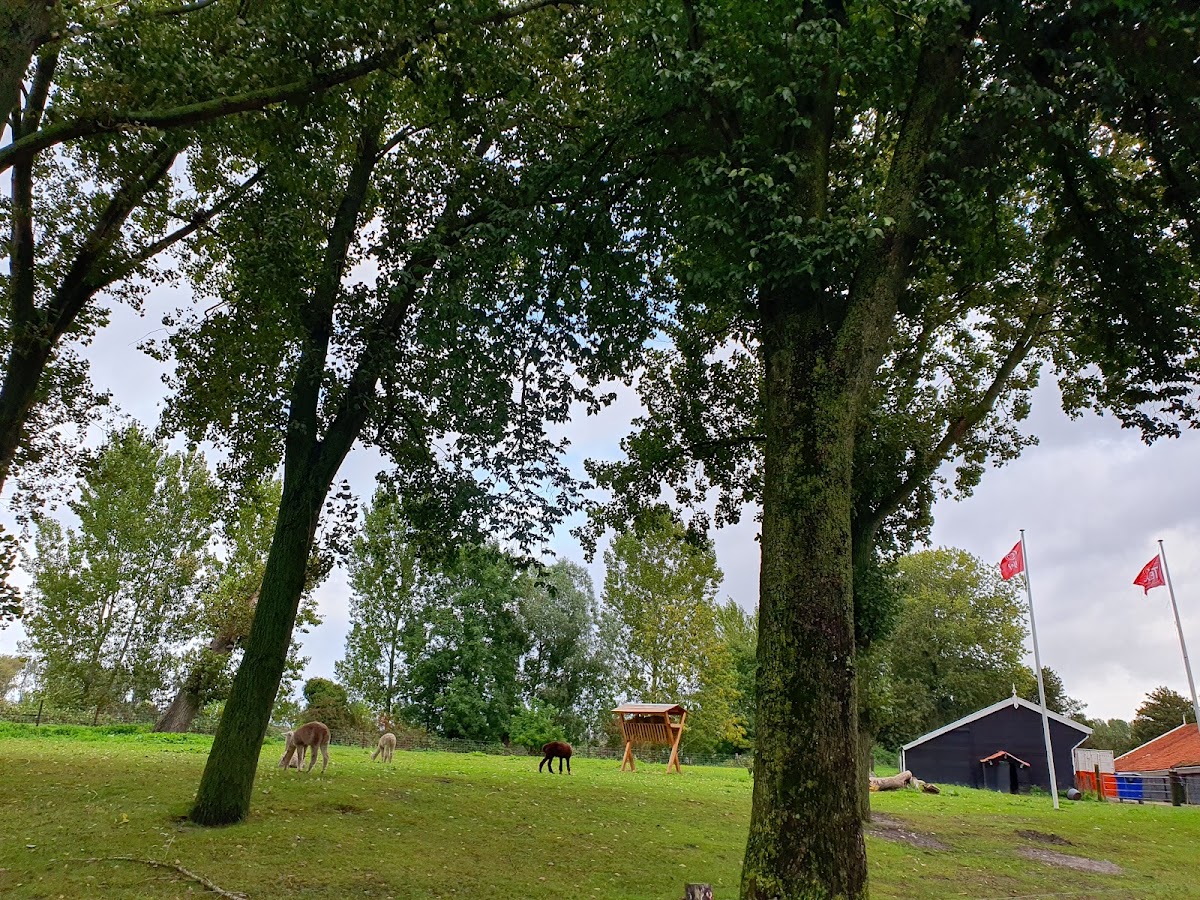 Schaapskooi Zeeland, foto 3