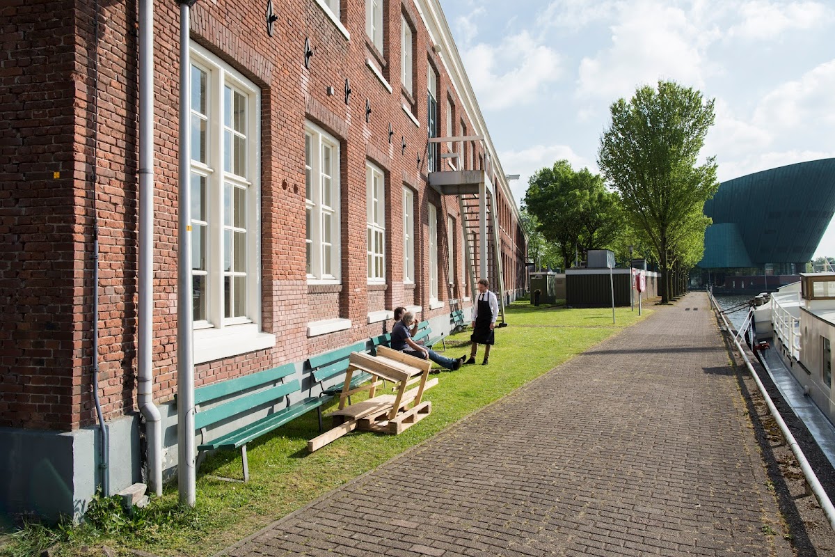 Scheepskameel, foto 3