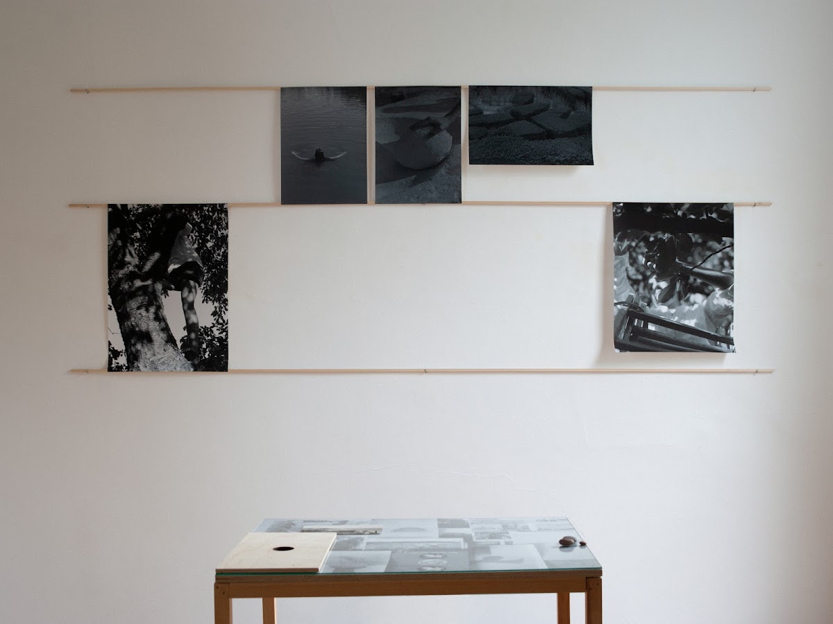 Serchia Gallery, photo 1
