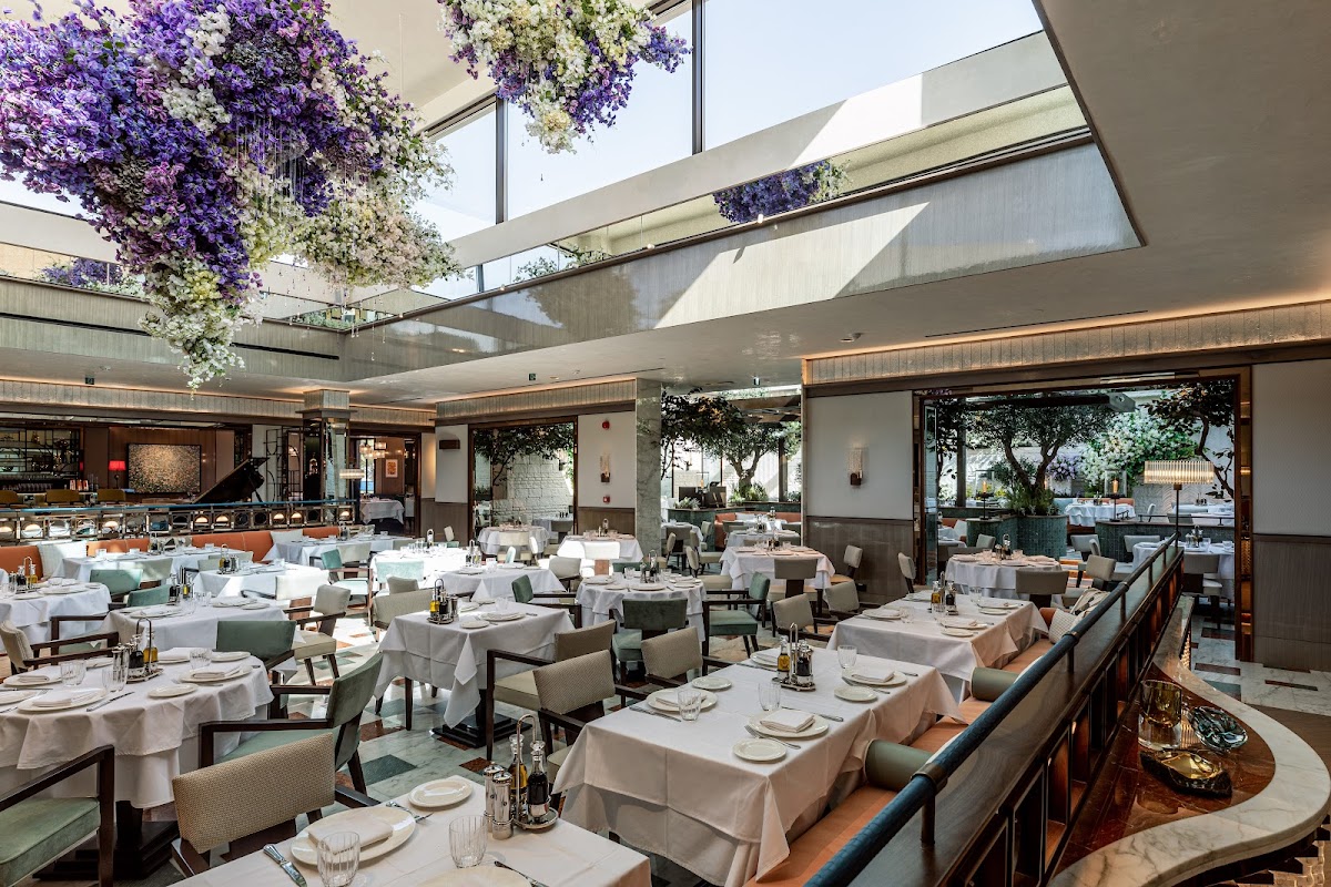 Signor Sassi Riyadh, foto 1