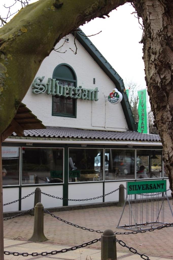Silversant, photo 1