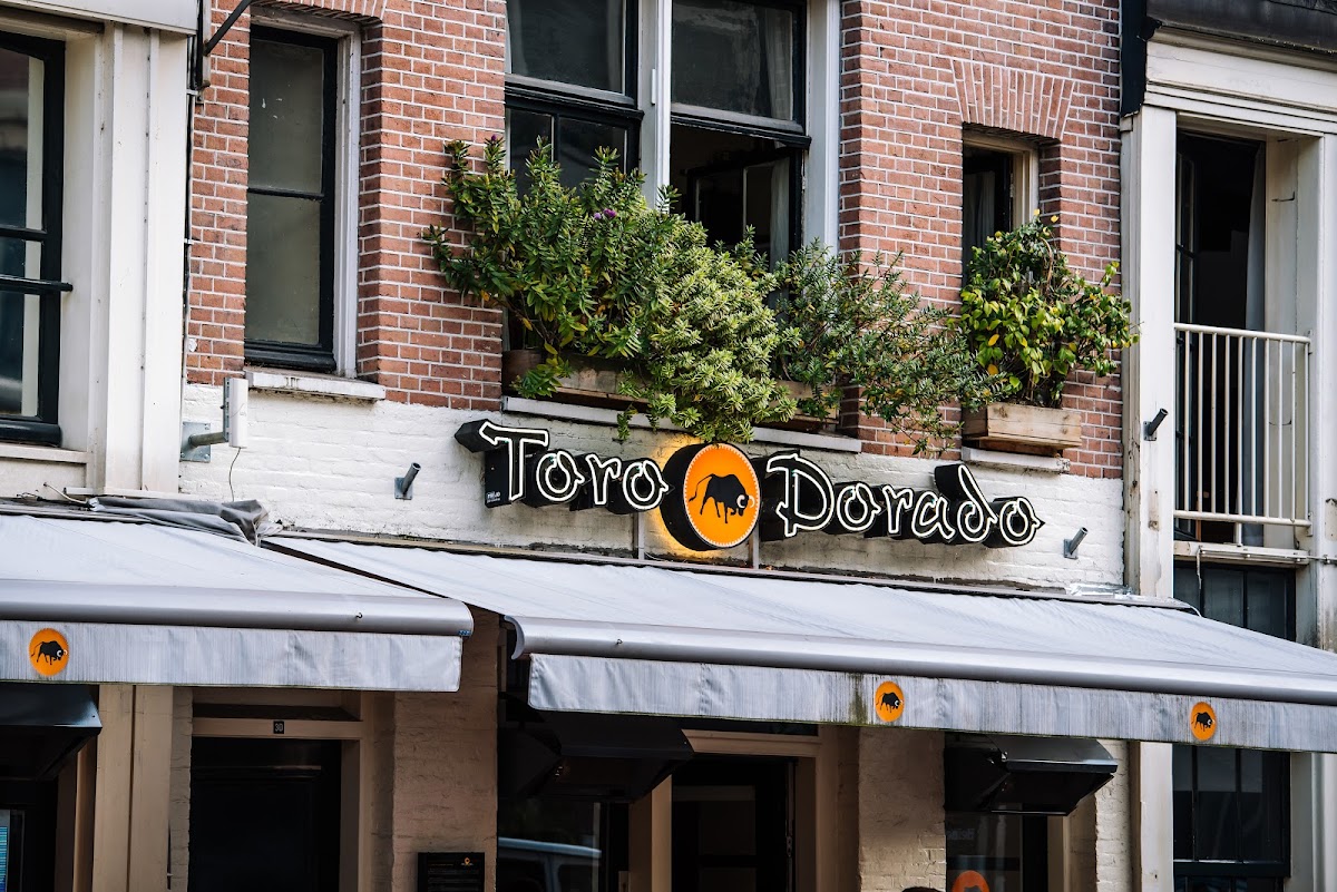 TDQ Steaks | Toro Dorado