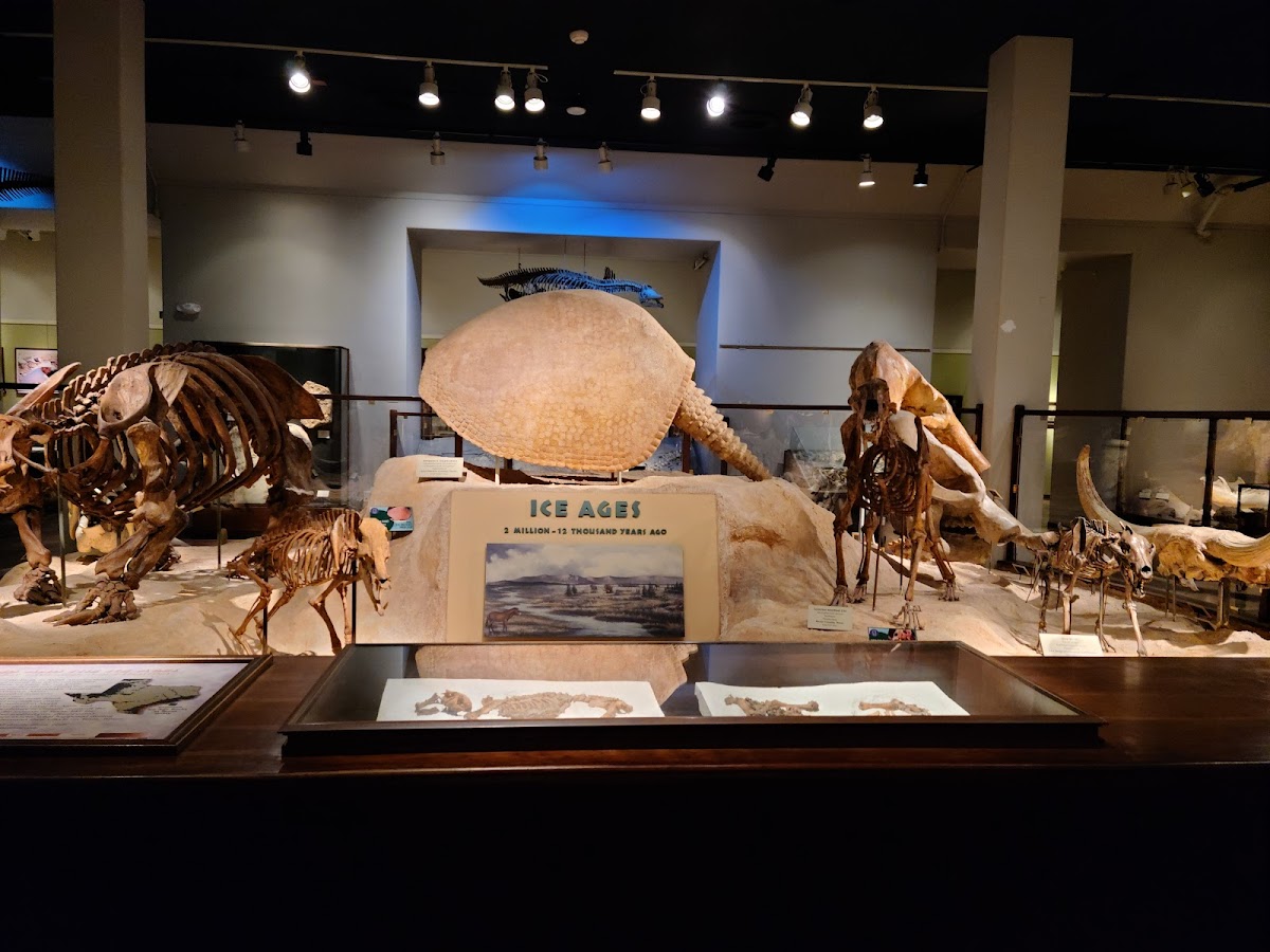 Texas Science & Natural History Museum, foto 3