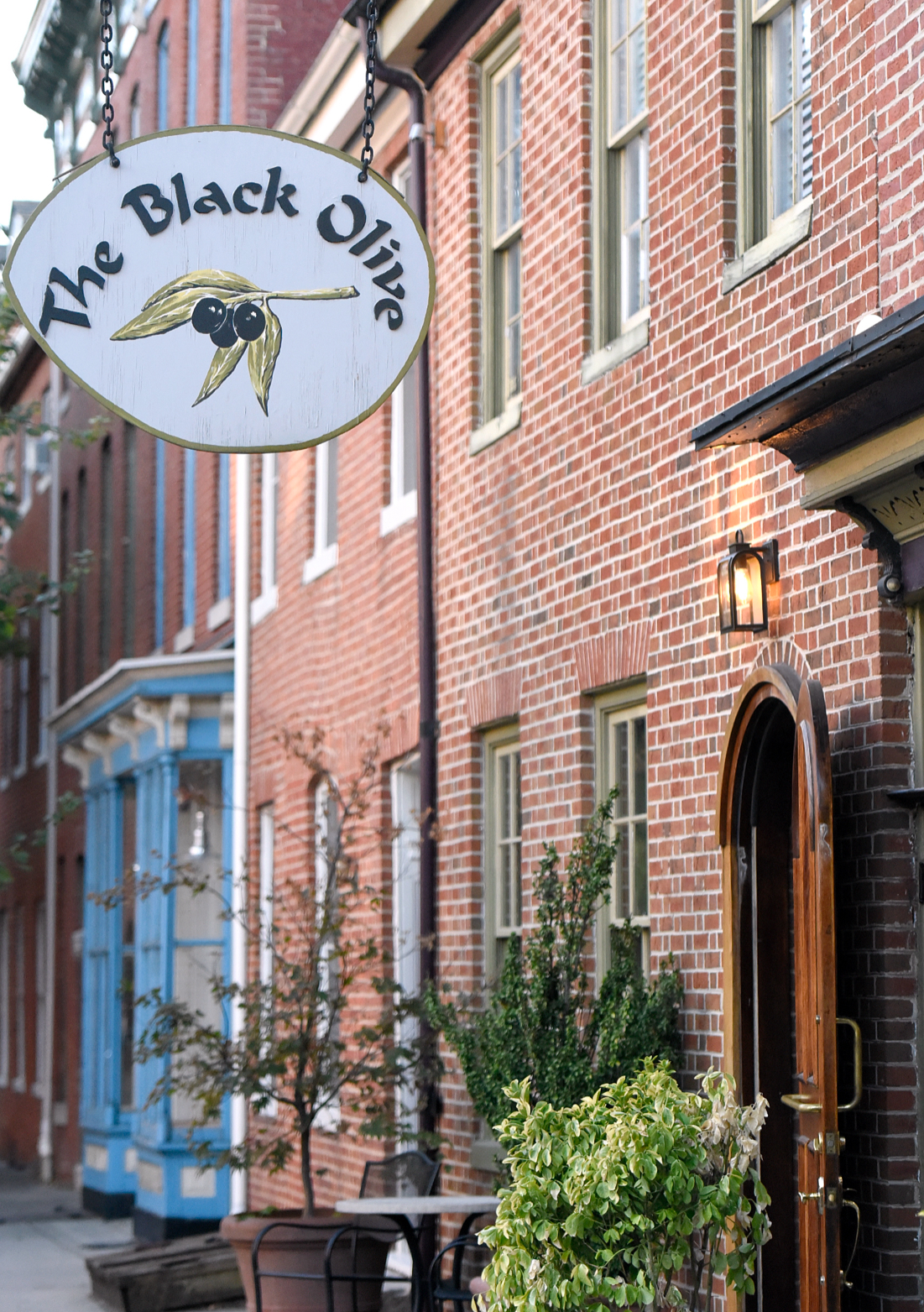 The Black Olive 3