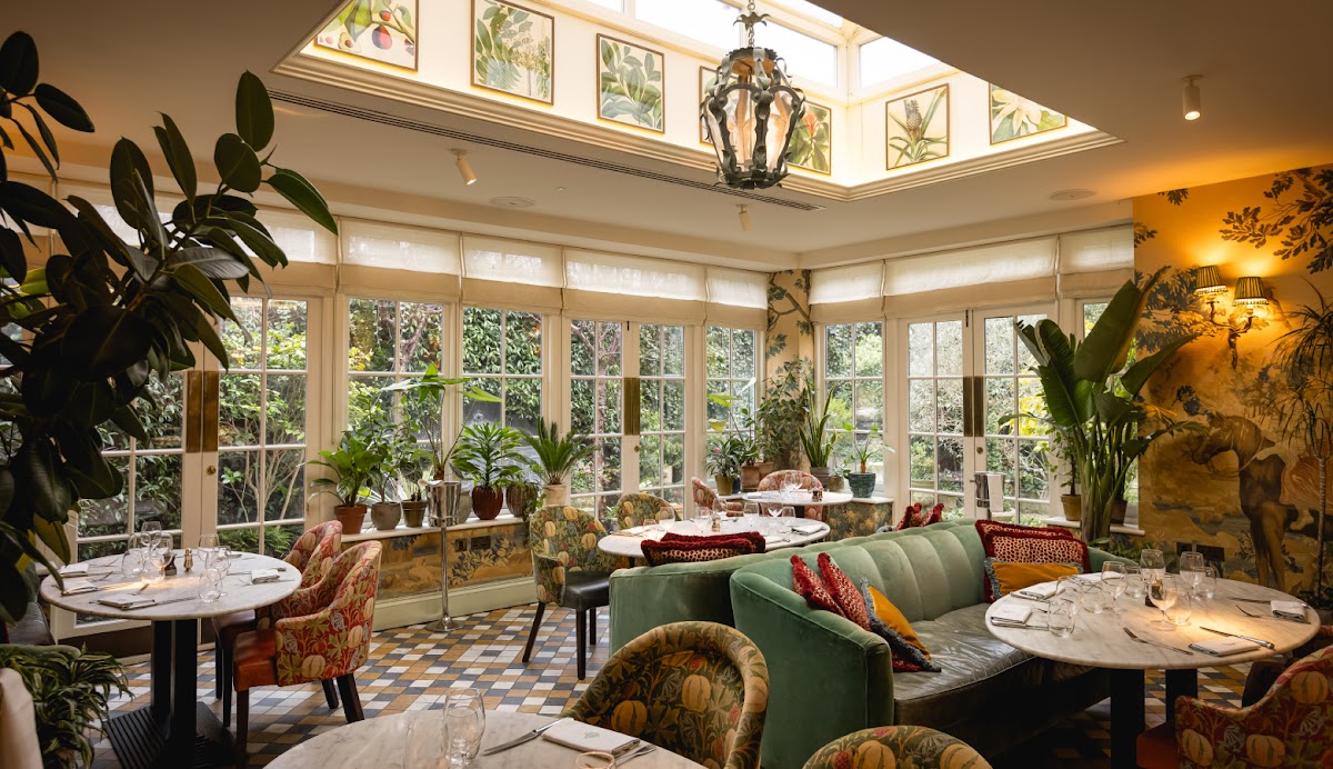 The Ivy Clifton Brasserie, photo 1