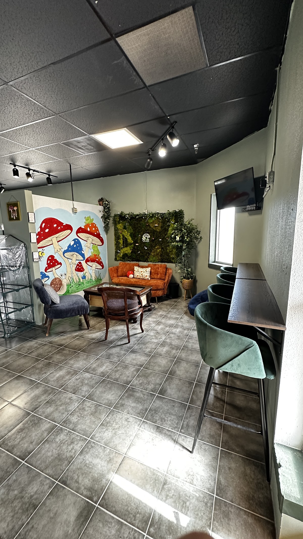 The Shroomery NM, photo 3