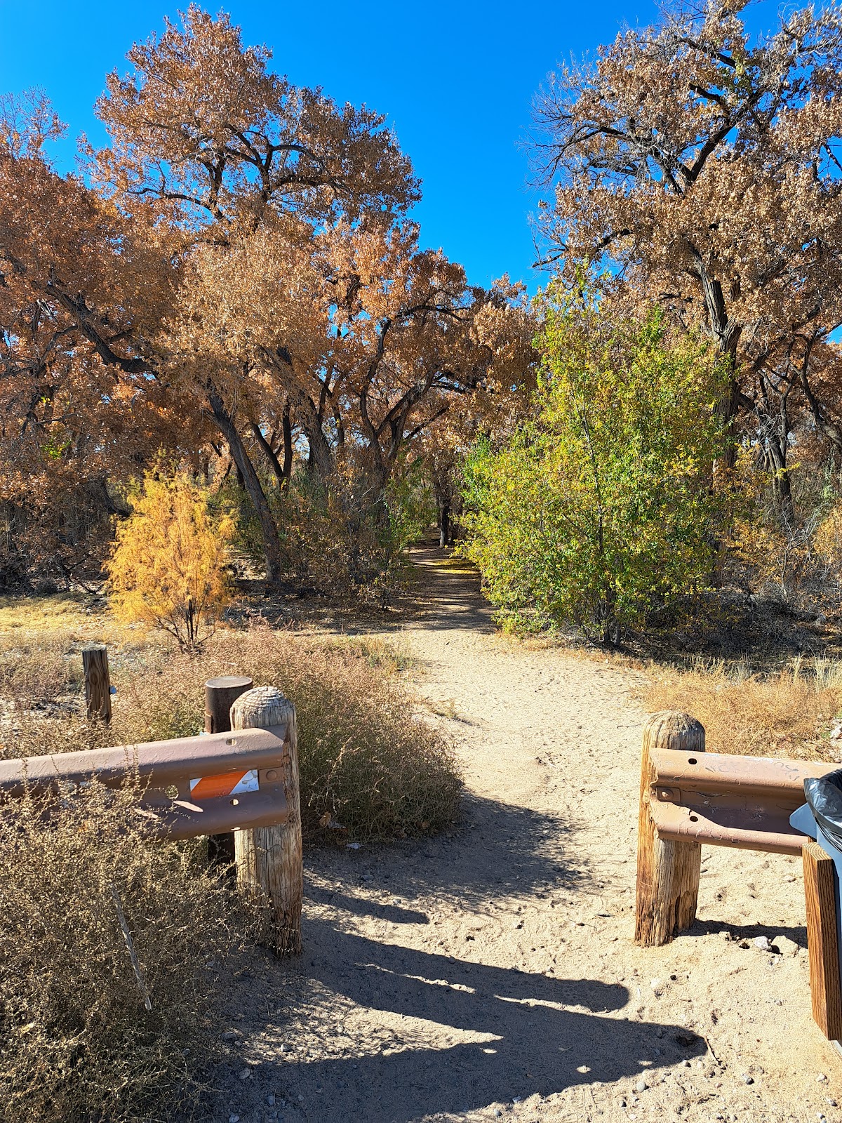 Tingley Drive Southern Bosque Trailhead