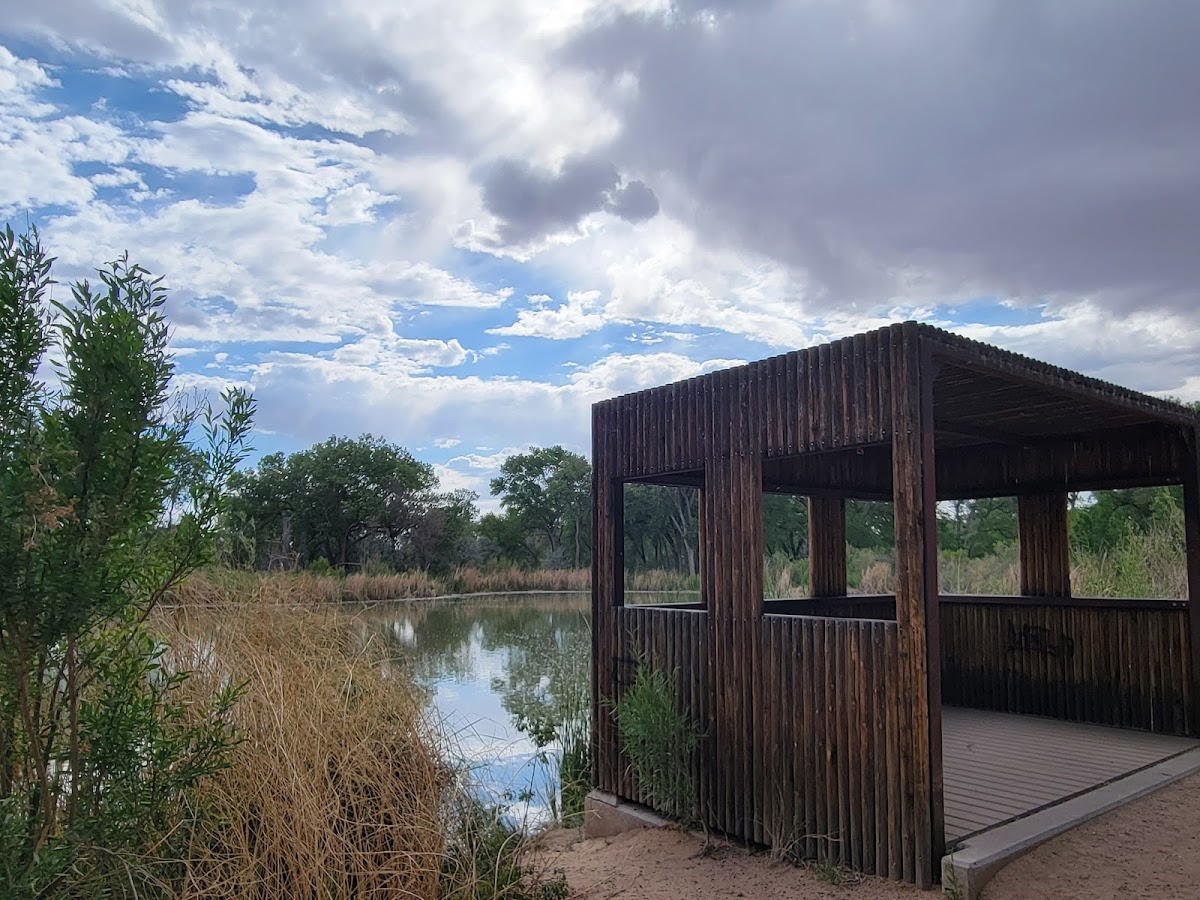 Tingley Drive Southern Bosque Trailhead 2