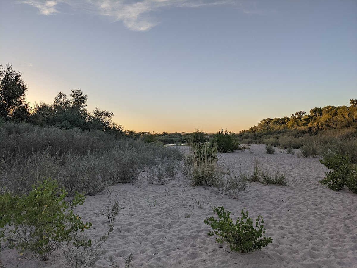 Tingley Drive Southern Bosque Trailhead 3