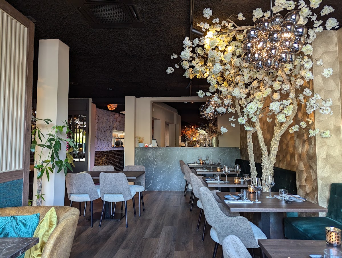 Uchi - Asian Fusion Cuisine, Foto 4