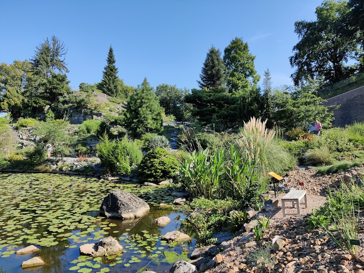 Utrecht Botanic Gardens, photo 3