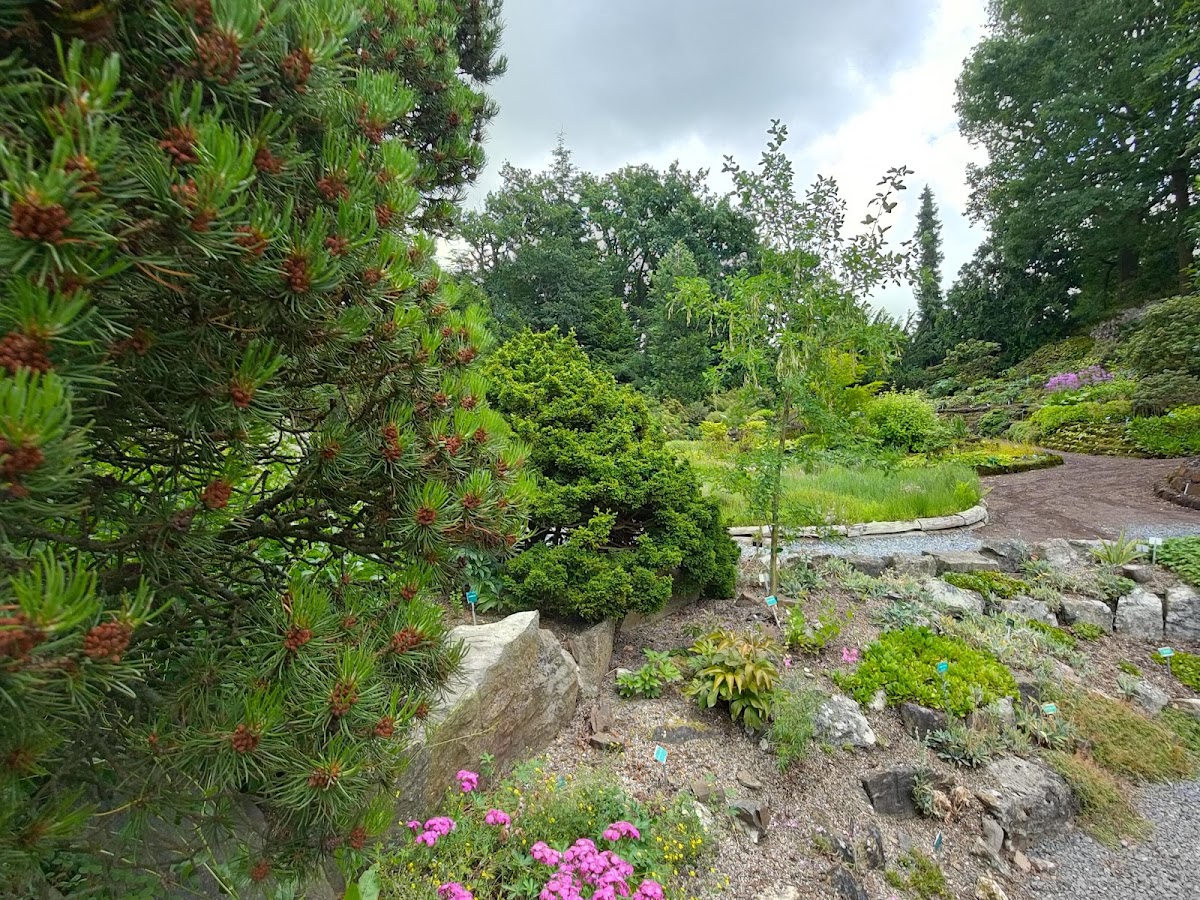 Utrecht Botanic Gardens, photo 4