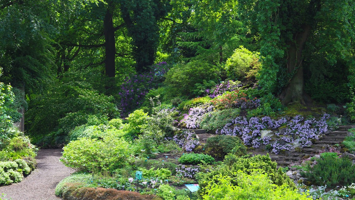 Utrecht Botanic Gardens, photo 1