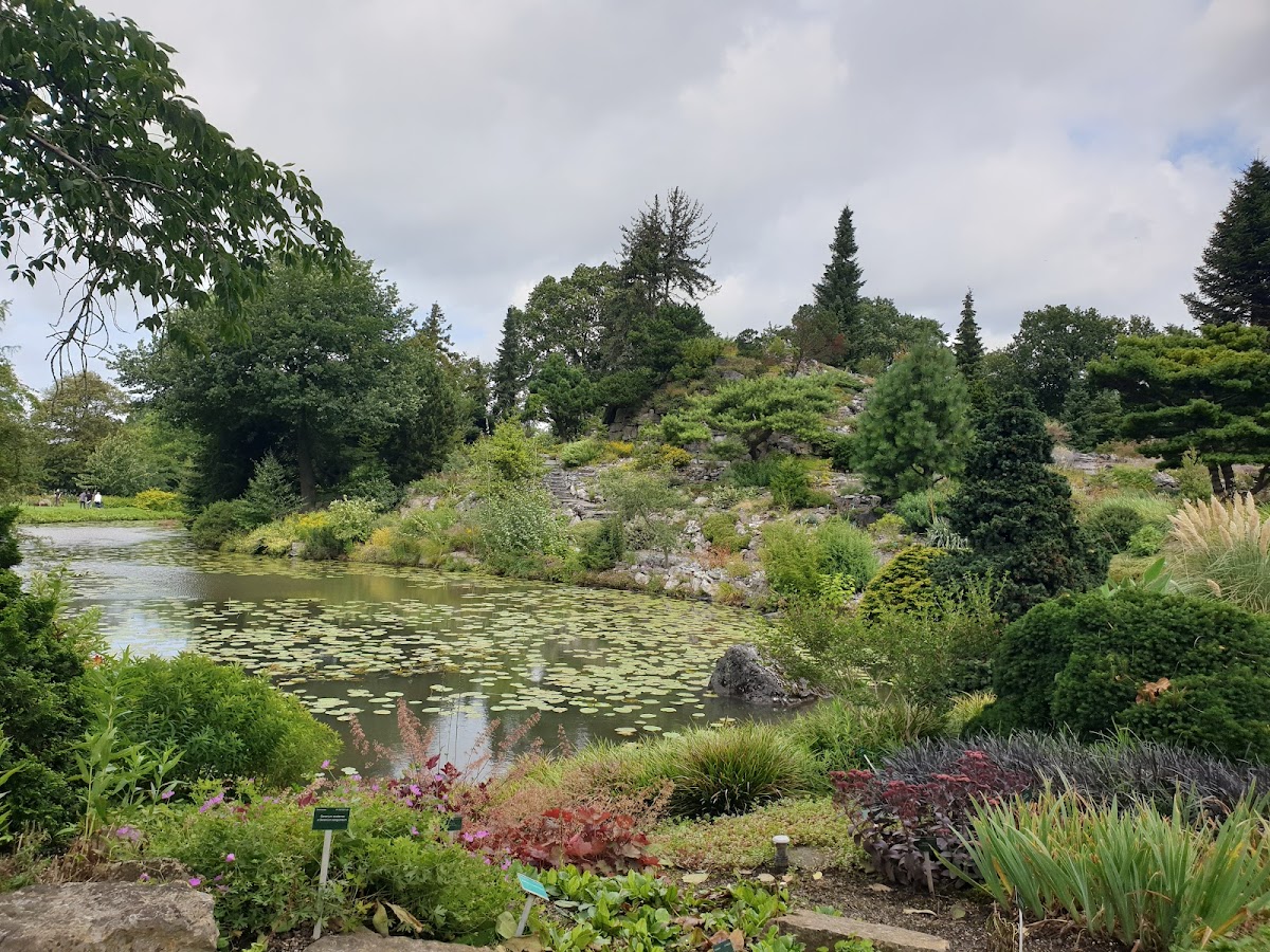 Utrecht Botanic Gardens, photo 2
