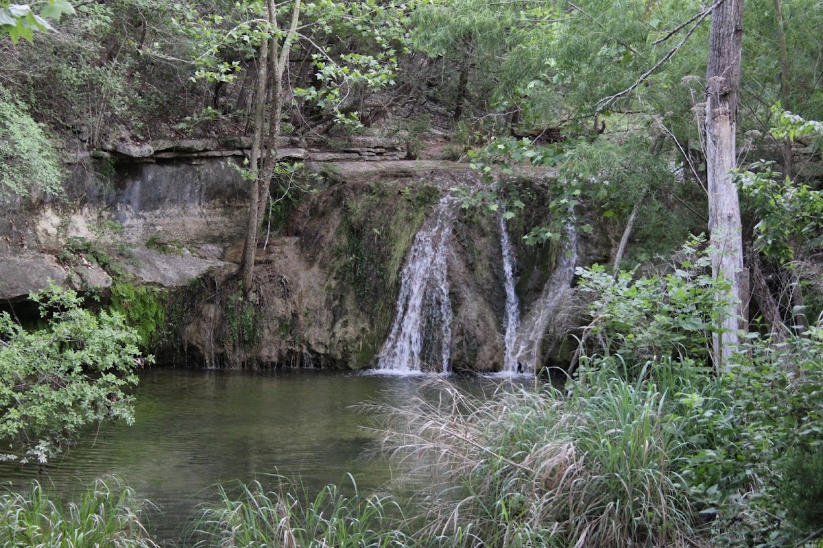 Wild Basin Wilderness Preserve, Foto 4