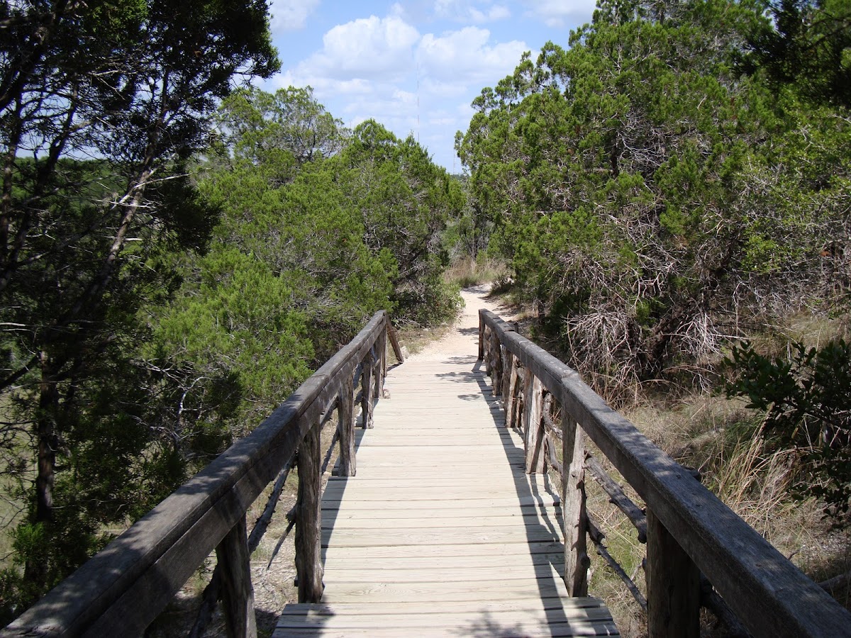 Wild Basin Wilderness Preserve, Foto 3