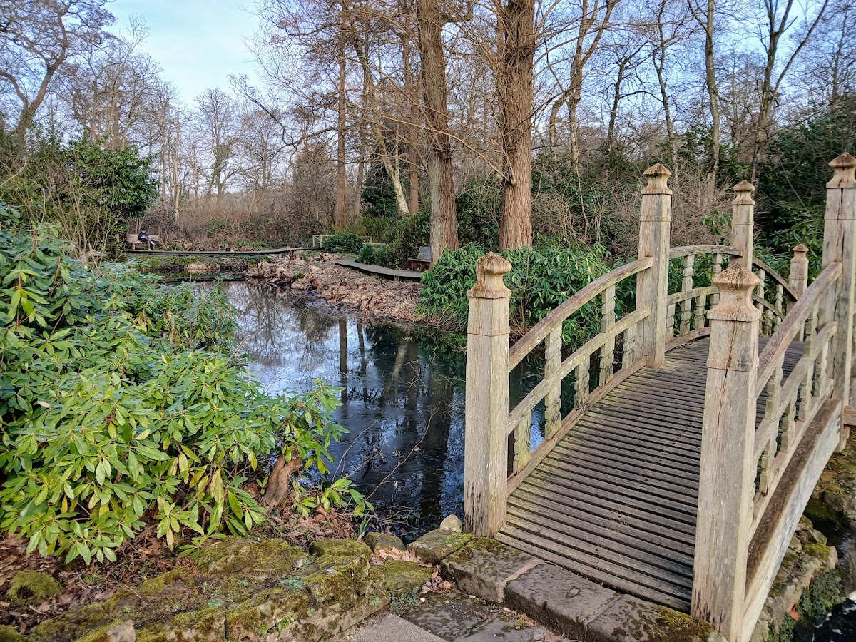 Winterbourne House & Garden, foto 3