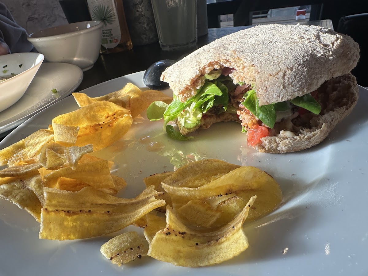 Yemayá’s Vegan Corner 3